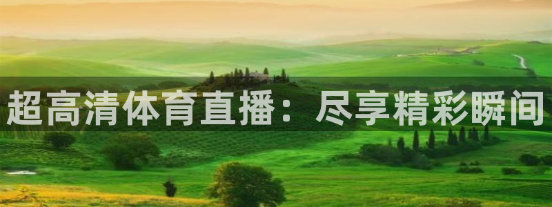 超高清体育直播：尽享精彩瞬间