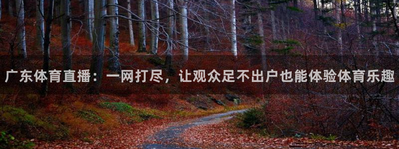 广东体育直播：一网打尽，让观众足不出户也能体验体育乐趣