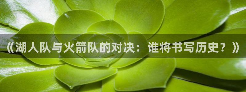 《湖人队与火箭队的对决：谁将书写历史？》