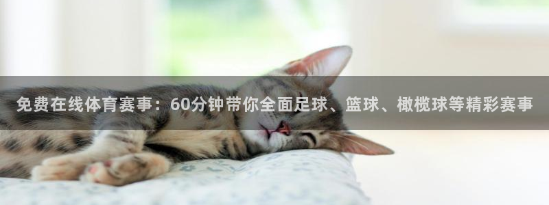 免费在线体育赛事：60分钟带你全面足球、篮球、橄榄球等精彩赛事